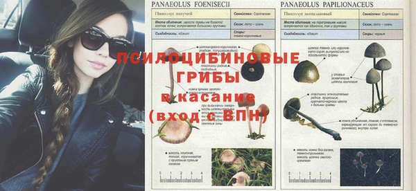 не бодяженный Мегион