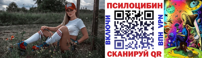 Галлюциногенные грибы GOLDEN TEACHER  Купить закладки  Руза 